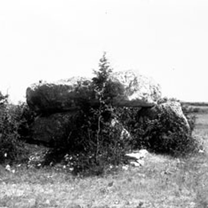 Photo de Dolmen de Saint-Paul à Sainte-Cécile-du-Cayrou