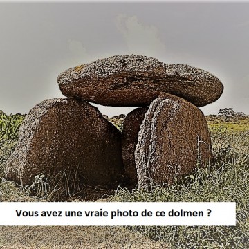 dolmen de saint paul a sainte cecile du cayrou
