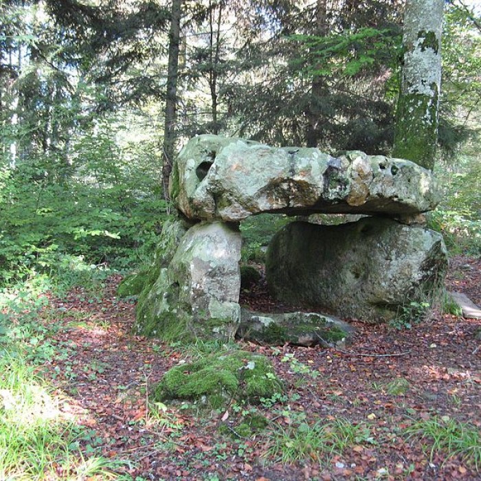 Photo de Dolmen de Vauluisant à Saint-Maurice-aux-Riches-Hommes