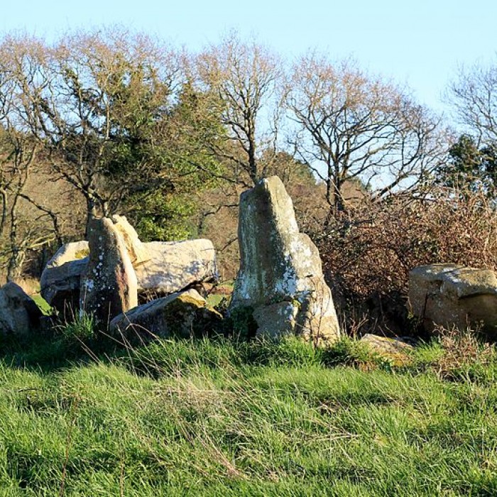 Photo de Dolmen dEr-Roch-Vras à Carnac