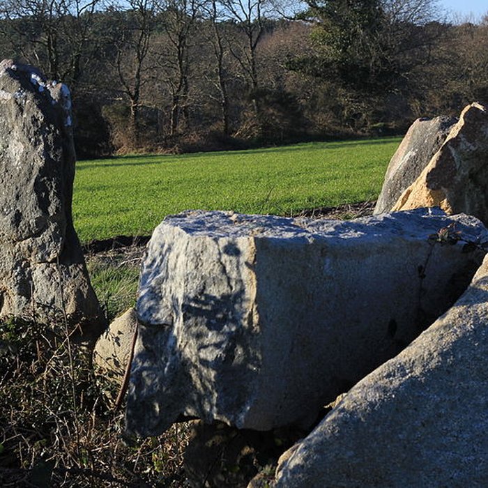 Photo de Dolmen dEr-Roch-Vras à Carnac