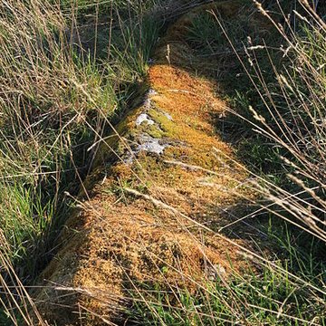 Dolmen dEr-Roch-Vras à Carnac