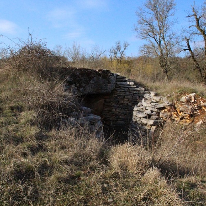 Photo de Dolmen des Aguals à Gréalou