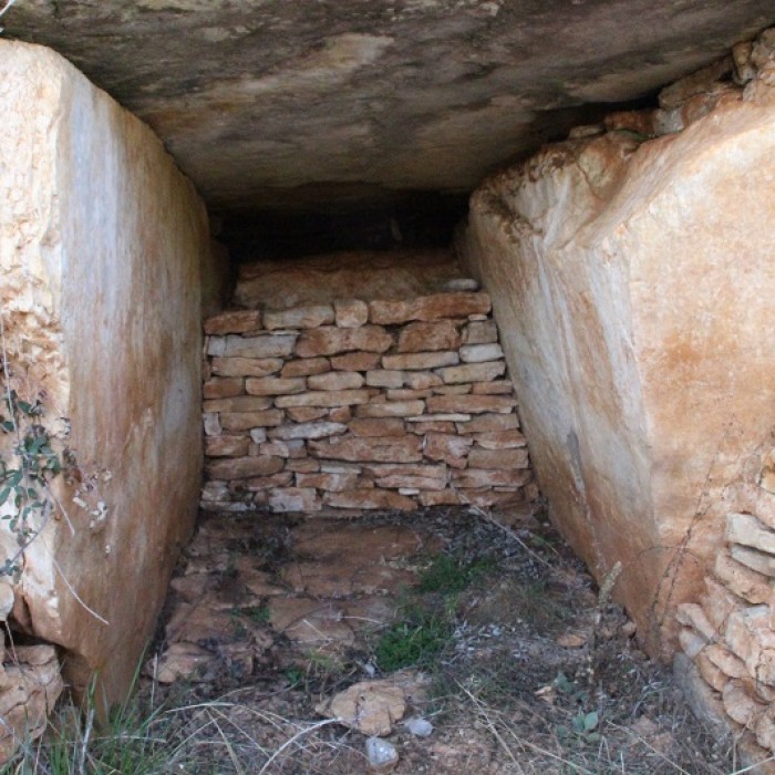 Photo de Dolmen des Aguals à Gréalou