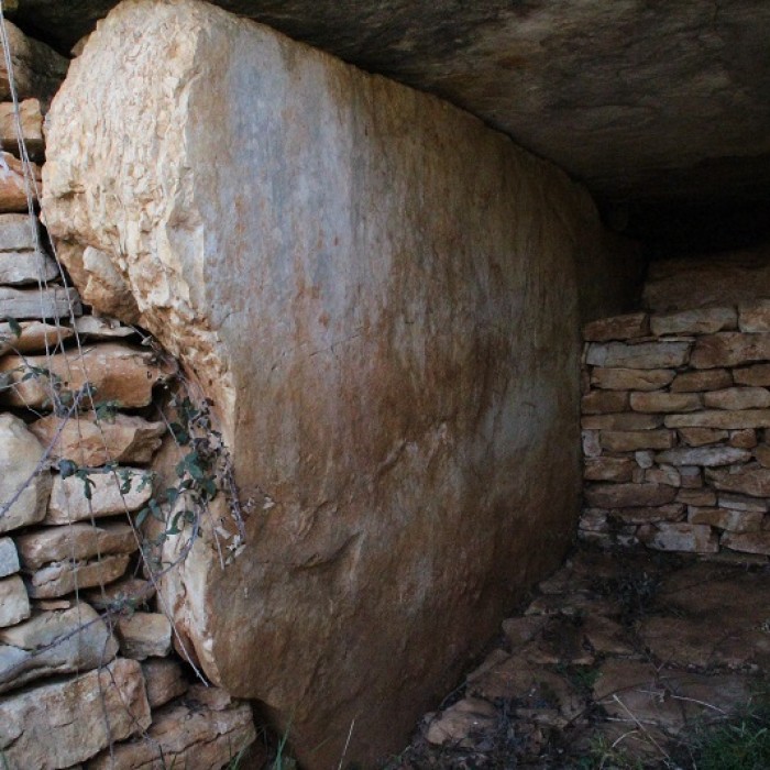 Photo de Dolmen des Aguals à Gréalou