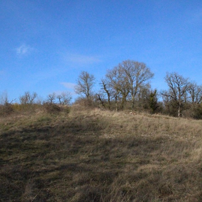 Photo de Dolmen des Aguals à Gréalou