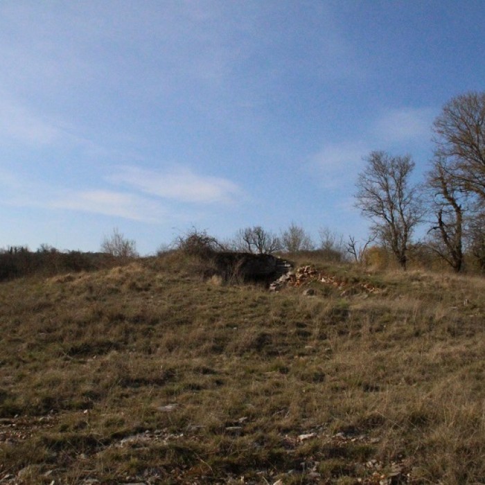 Photo de Dolmen des Aguals à Gréalou