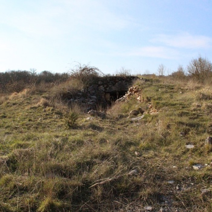 Photo de Dolmen des Aguals à Gréalou