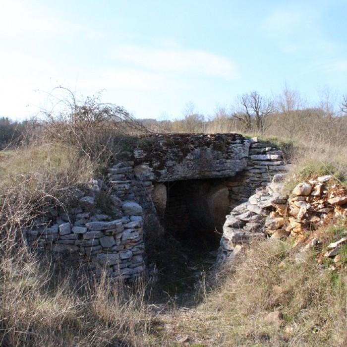Photo de Dolmen des Aguals à Gréalou
