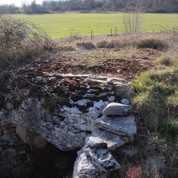 Photo de Dolmen des Aguals à Gréalou