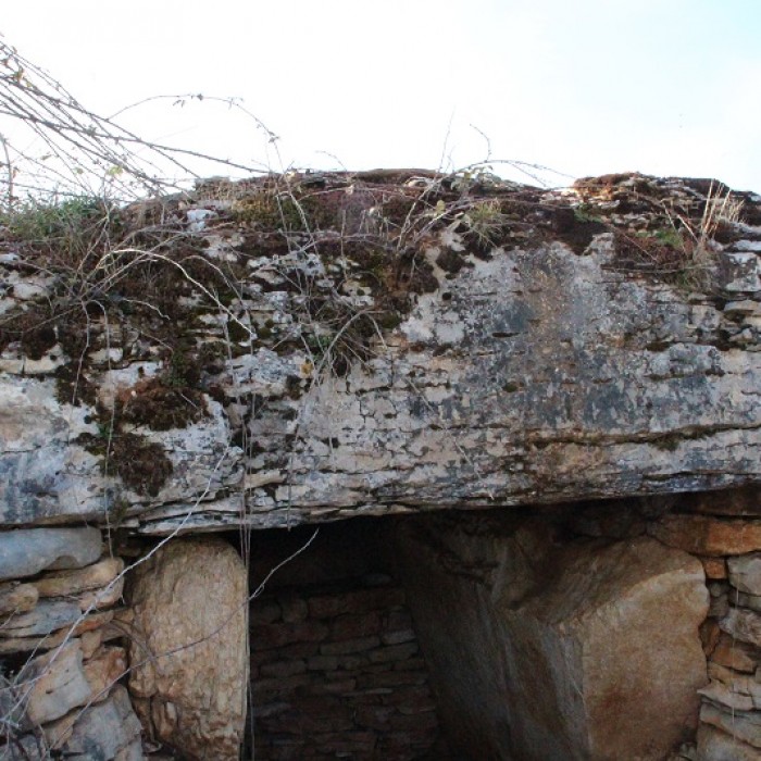 Photo de Dolmen des Aguals à Gréalou