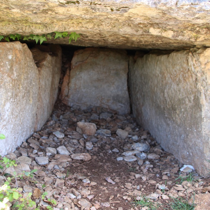 Photo de Dolmen des Barrières n 3 à Miers