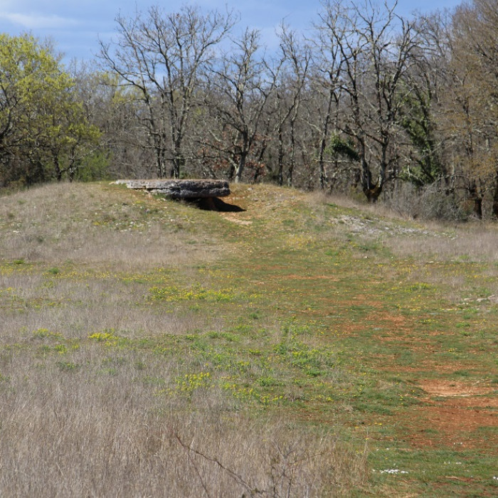 Photo de Dolmen des Barrières n 3 à Miers