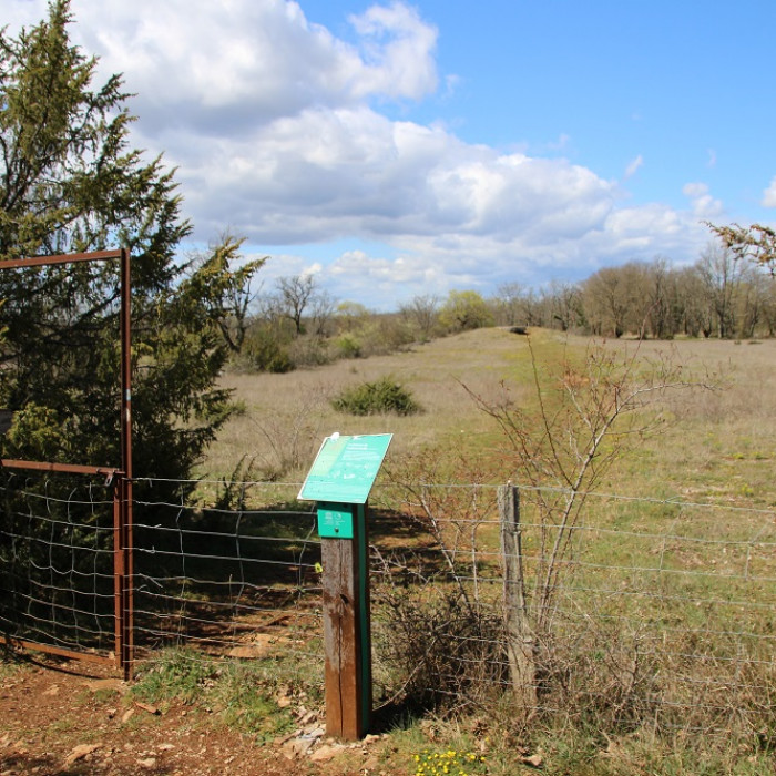 Photo de Dolmen des Barrières n 3 à Miers