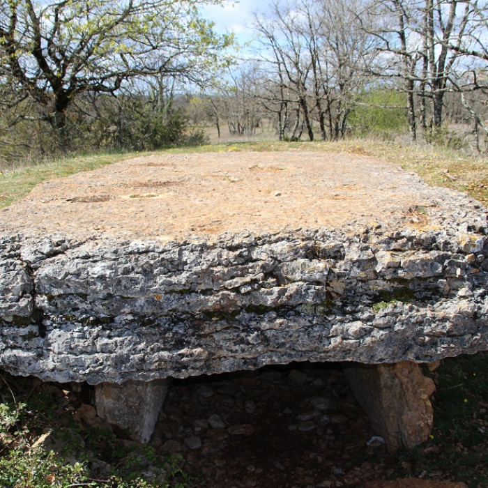 Photo de Dolmen des Barrières n 3 à Miers