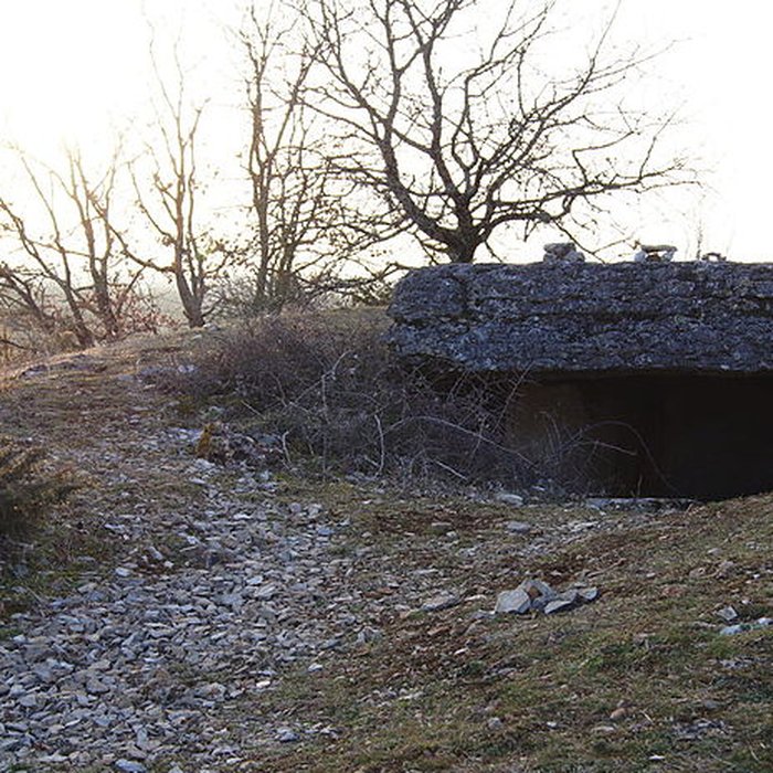 Photo de Site archéologique du dolmen des Barrières n 3
