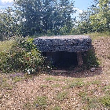 Site archéologique du dolmen des Barrières n 3
