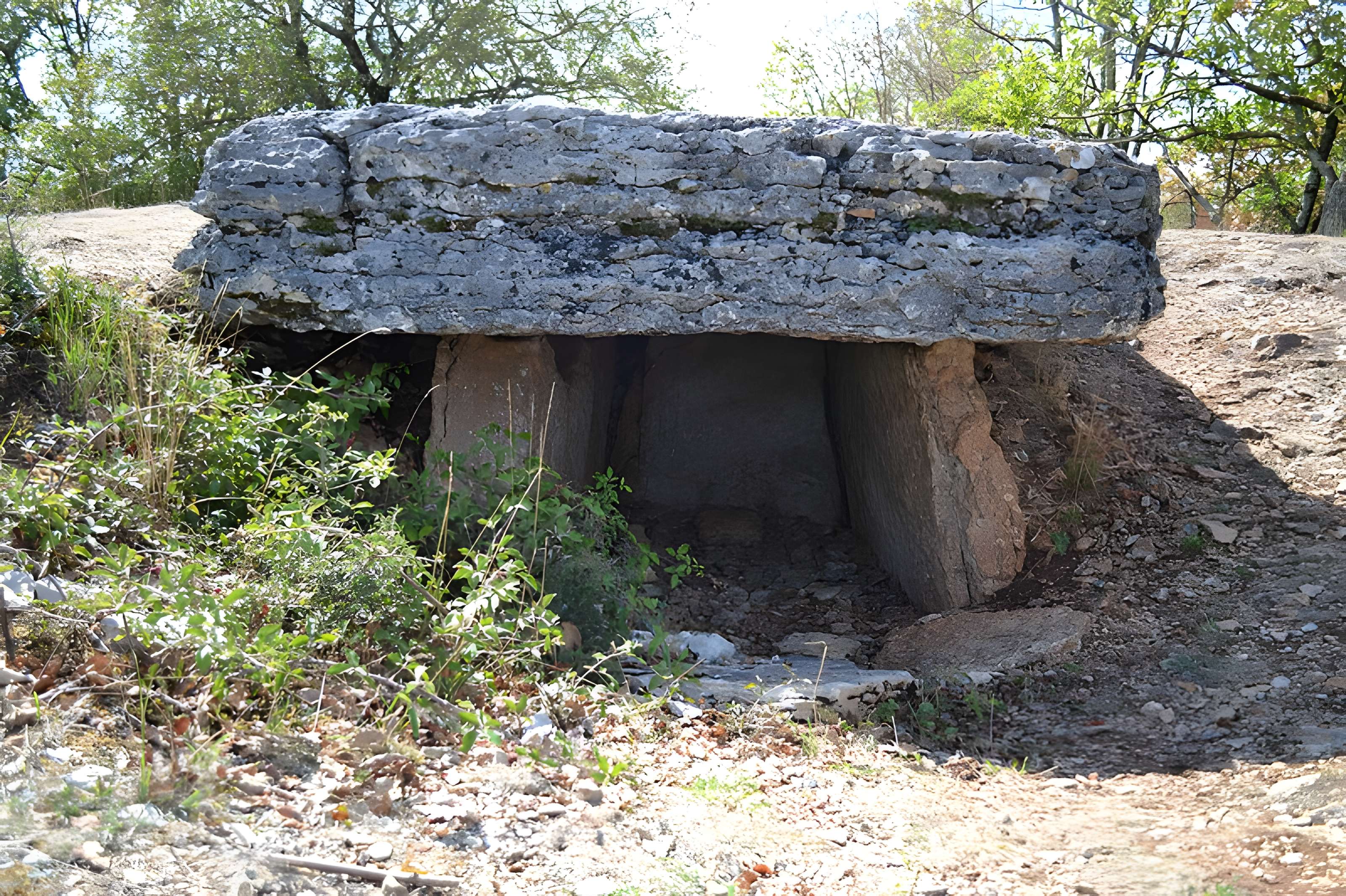 Site archéologique du dolmen des Barrières n° 3