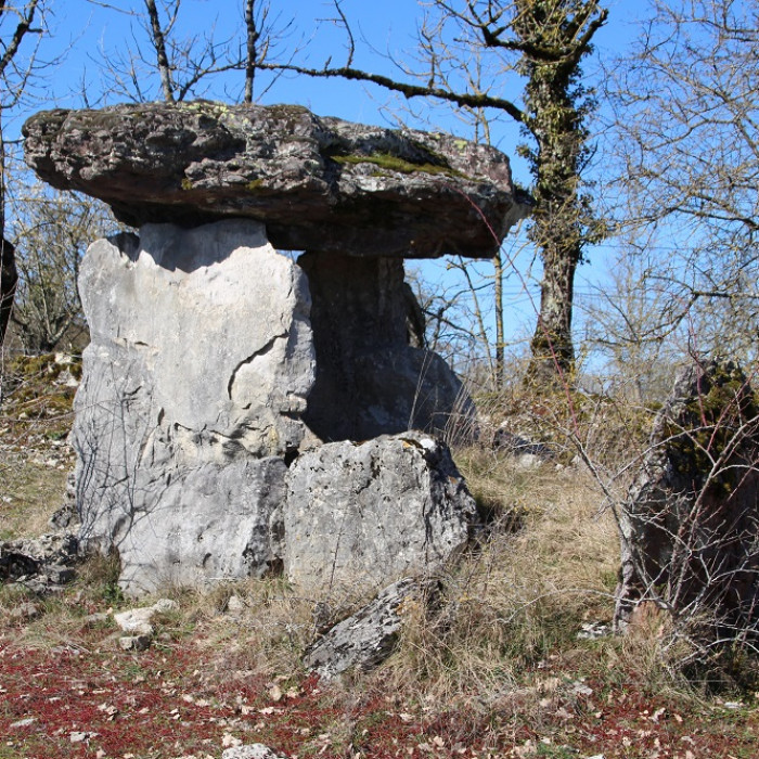 Photo de Dolmen des Cloups à Ginouillac