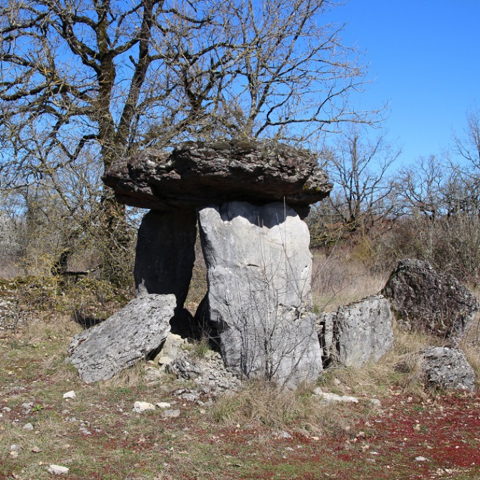 Photo de Dolmen des Cloups à Ginouillac