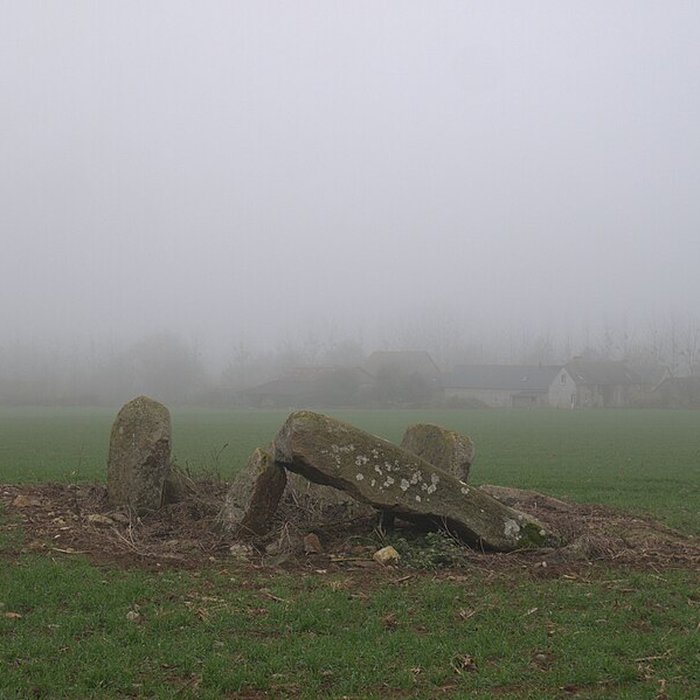 Photo de Dolmen des Îles à Voutré