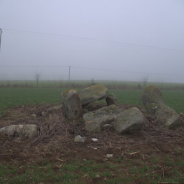 Photo de Dolmen des Îles à Voutré