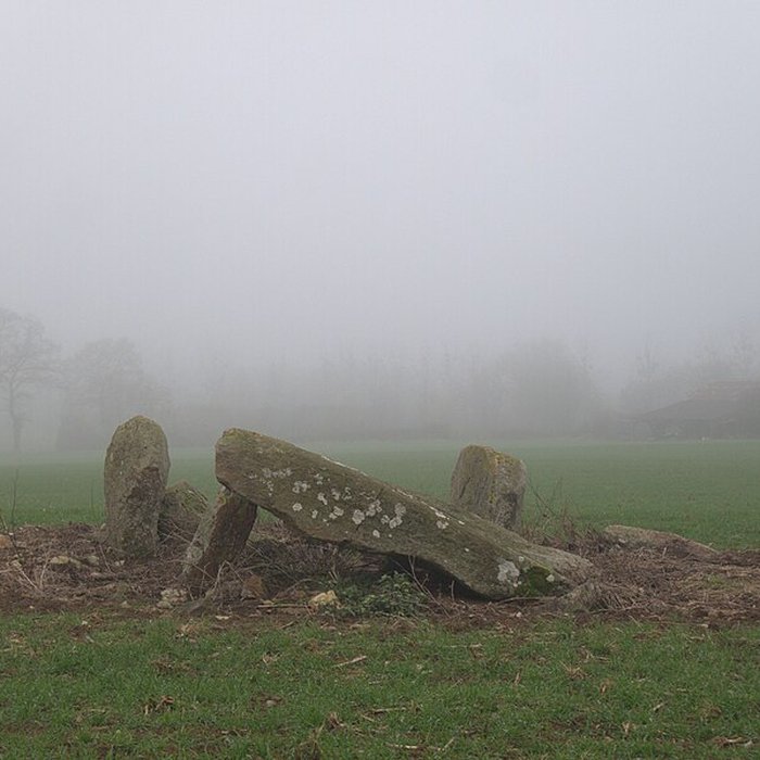 Photo de Dolmen des Îles à Voutré