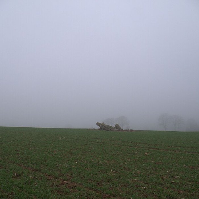 Photo de Dolmen des Îles à Voutré
