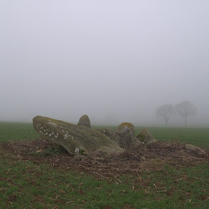 Photo de Dolmen des Îles à Voutré