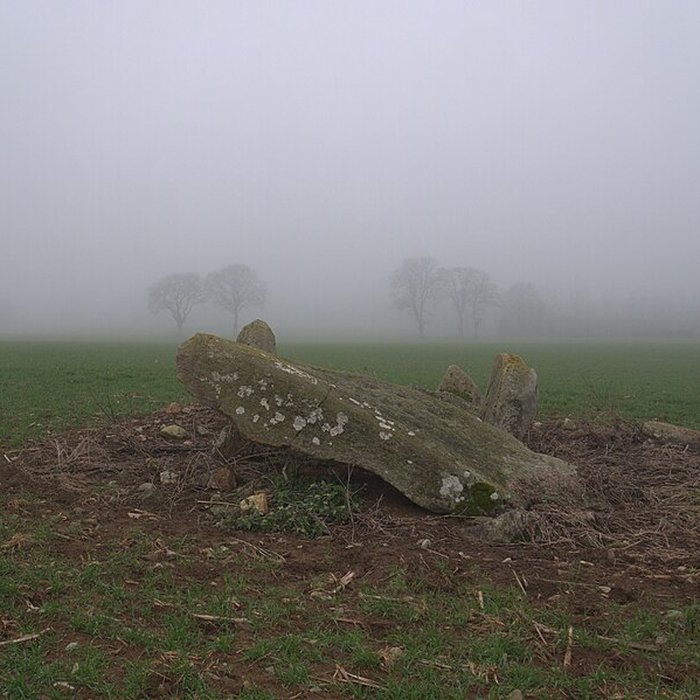 Photo de Dolmen des Îles à Voutré