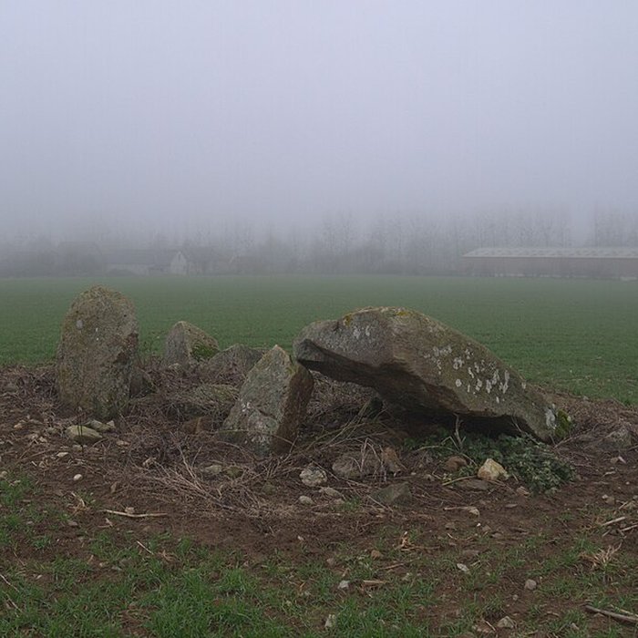 Photo de Dolmen des Îles à Voutré