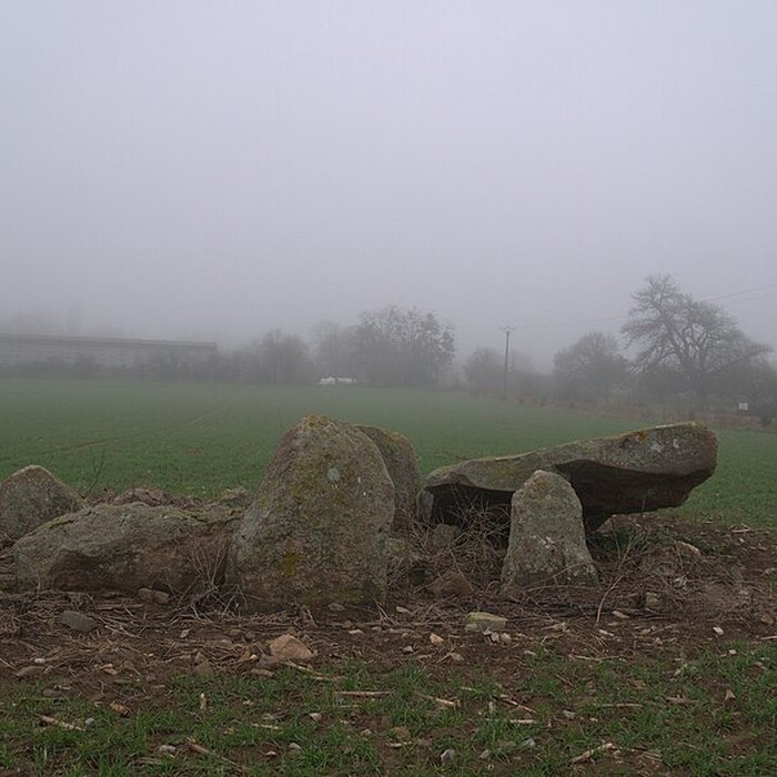 Photo de Dolmen des Îles à Voutré