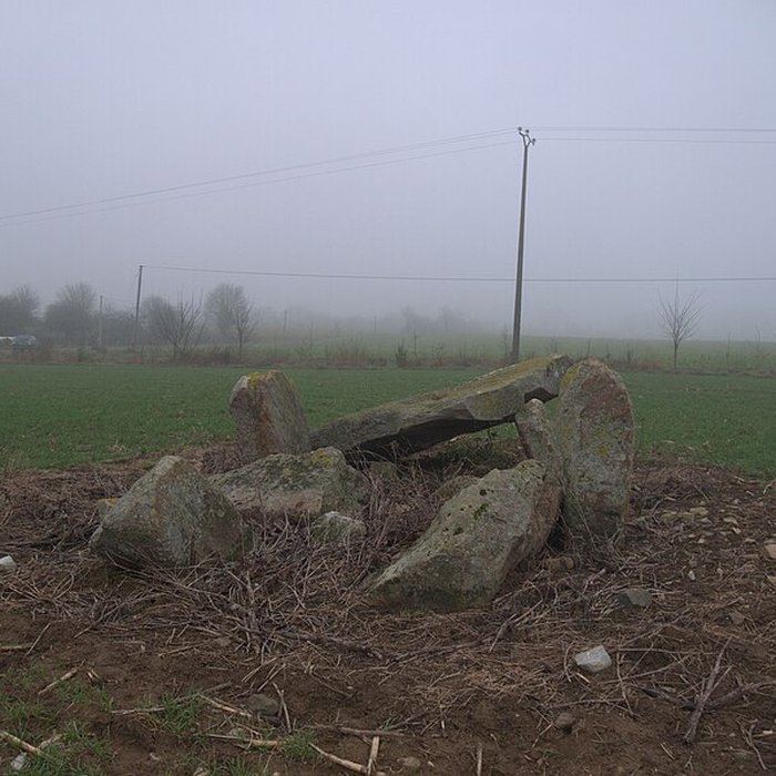 Photo de Dolmen des Îles à Voutré