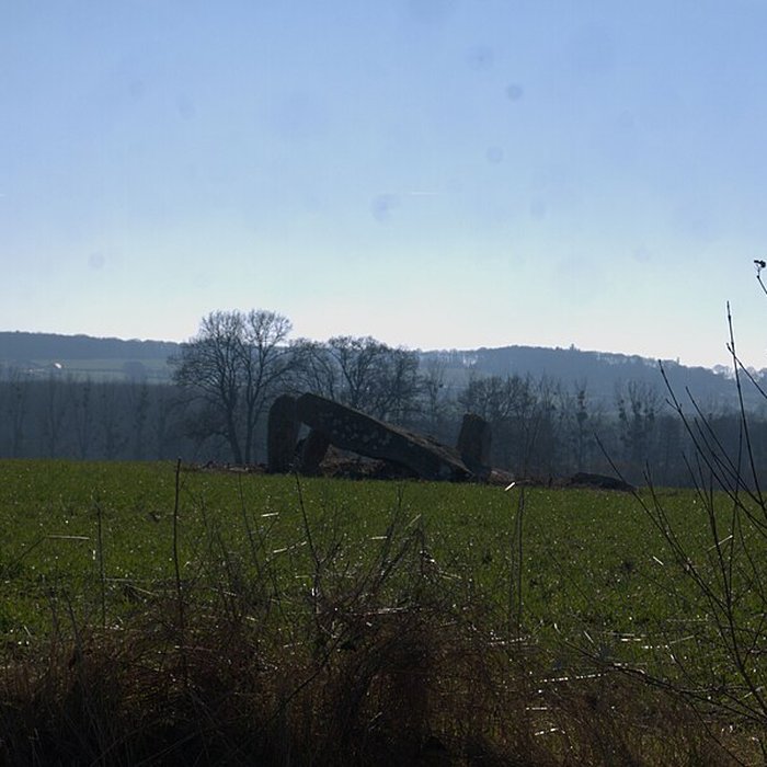 Photo de Dolmen des Îles à Voutré