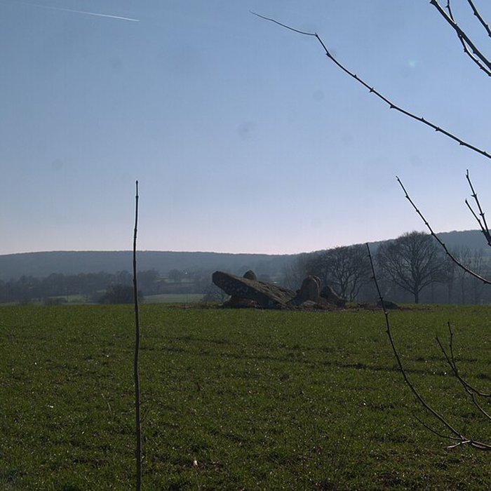 Photo de Dolmen des Îles à Voutré