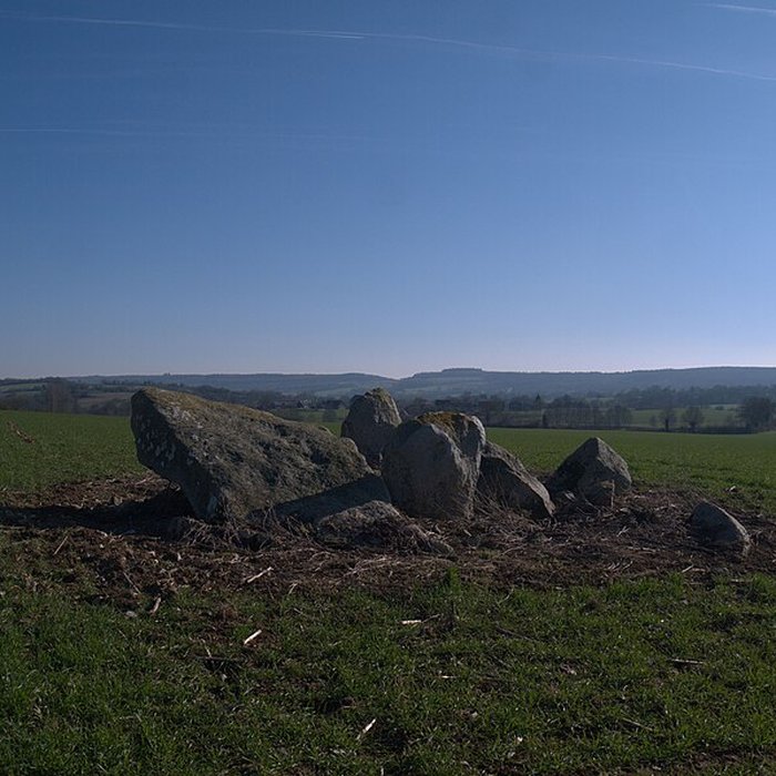 Photo de Dolmen des Îles à Voutré