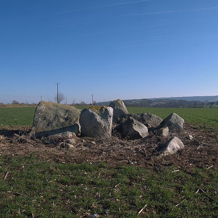 Photo de Dolmen des Îles à Voutré