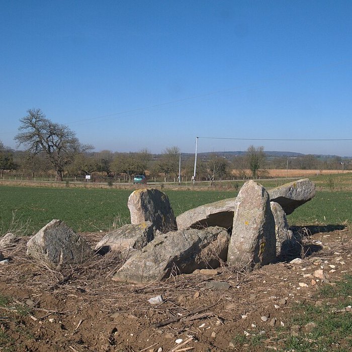 Photo de Dolmen des Îles à Voutré