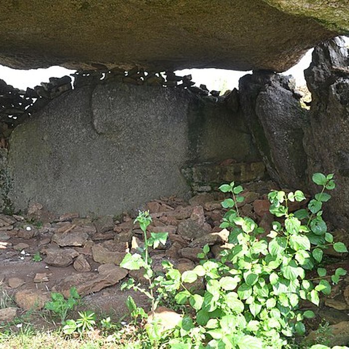 Photo de Dolmen des Landes de Bazoges-en-Pareds
