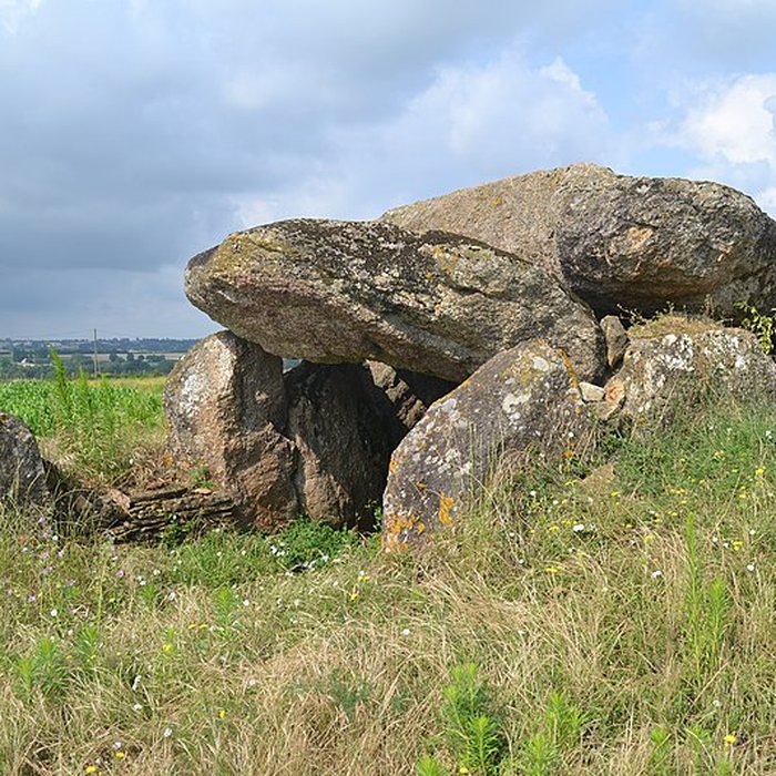 Photo de Dolmen des Landes de Bazoges-en-Pareds