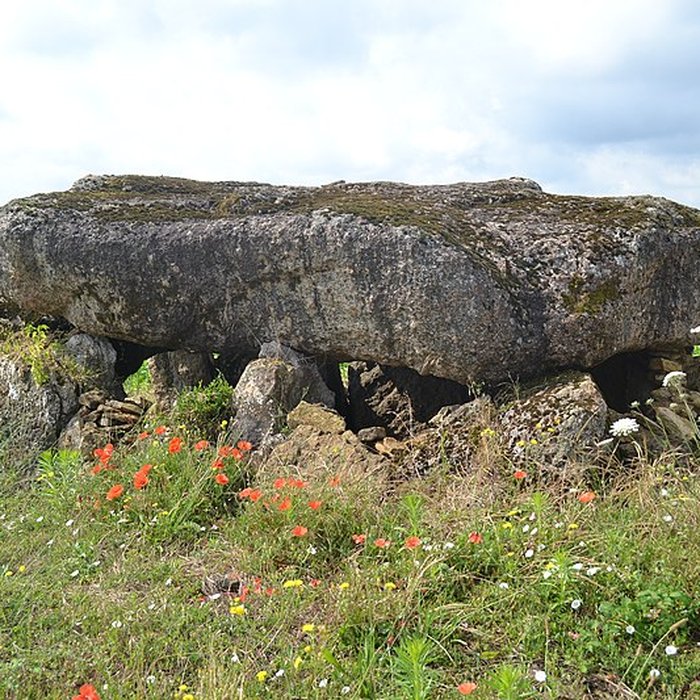 Photo de Dolmen des Landes de Bazoges-en-Pareds