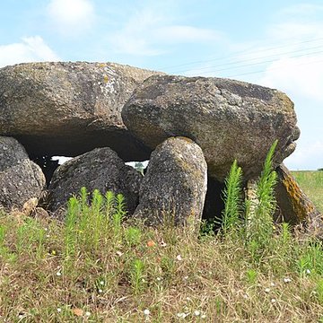 Dolmen des Landes de Bazoges-en-Pareds