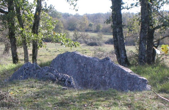 Photo de Dolmen des Plassous à Gramat