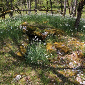 Dolmen des Roques n 2 à Durbans exterieur