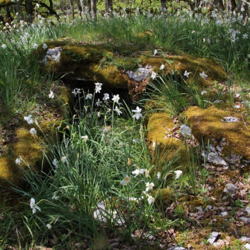Dolmen des Roques n 2 à Durbans interieur
