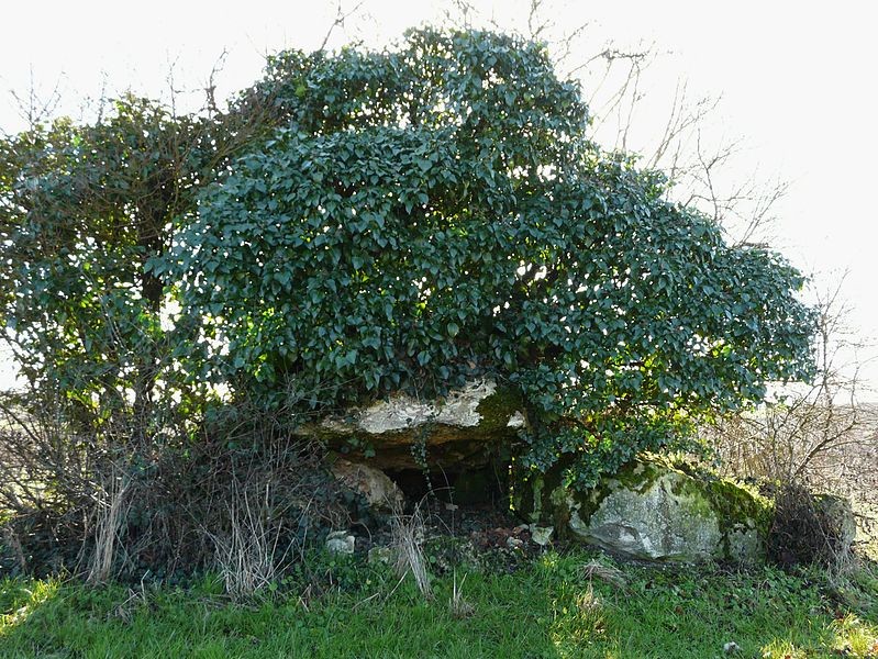 Photo de Dolmen d'Eylias à Eymet