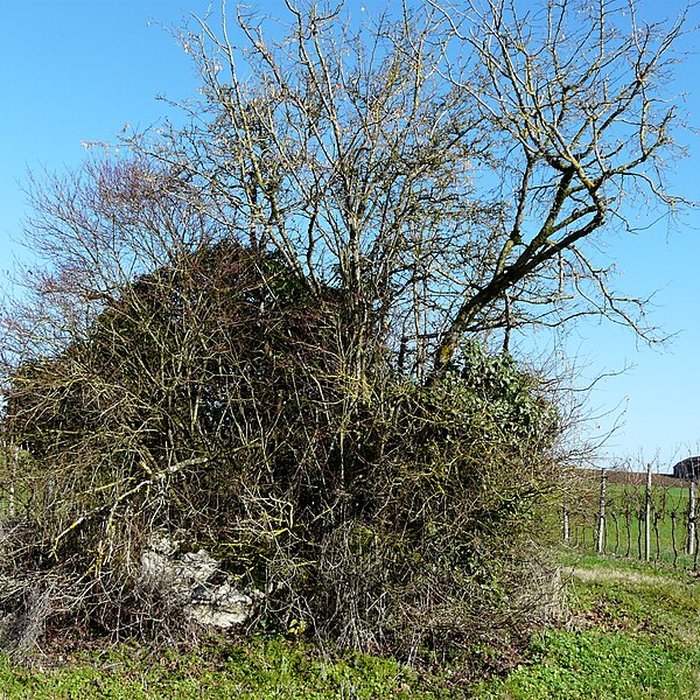 Photo de Dolmen dEylias à Eymet