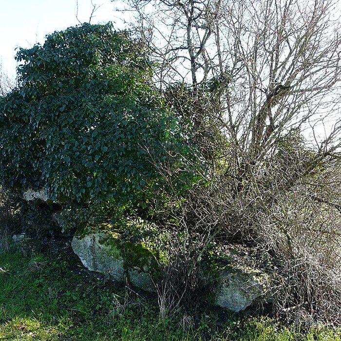 Photo de Dolmen dEylias à Eymet