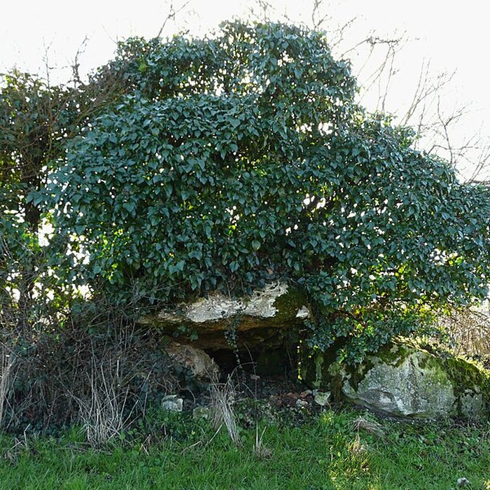 Photo de Dolmen dEylias à Eymet