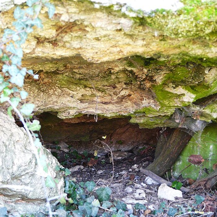 Photo de Dolmen dEylias à Eymet